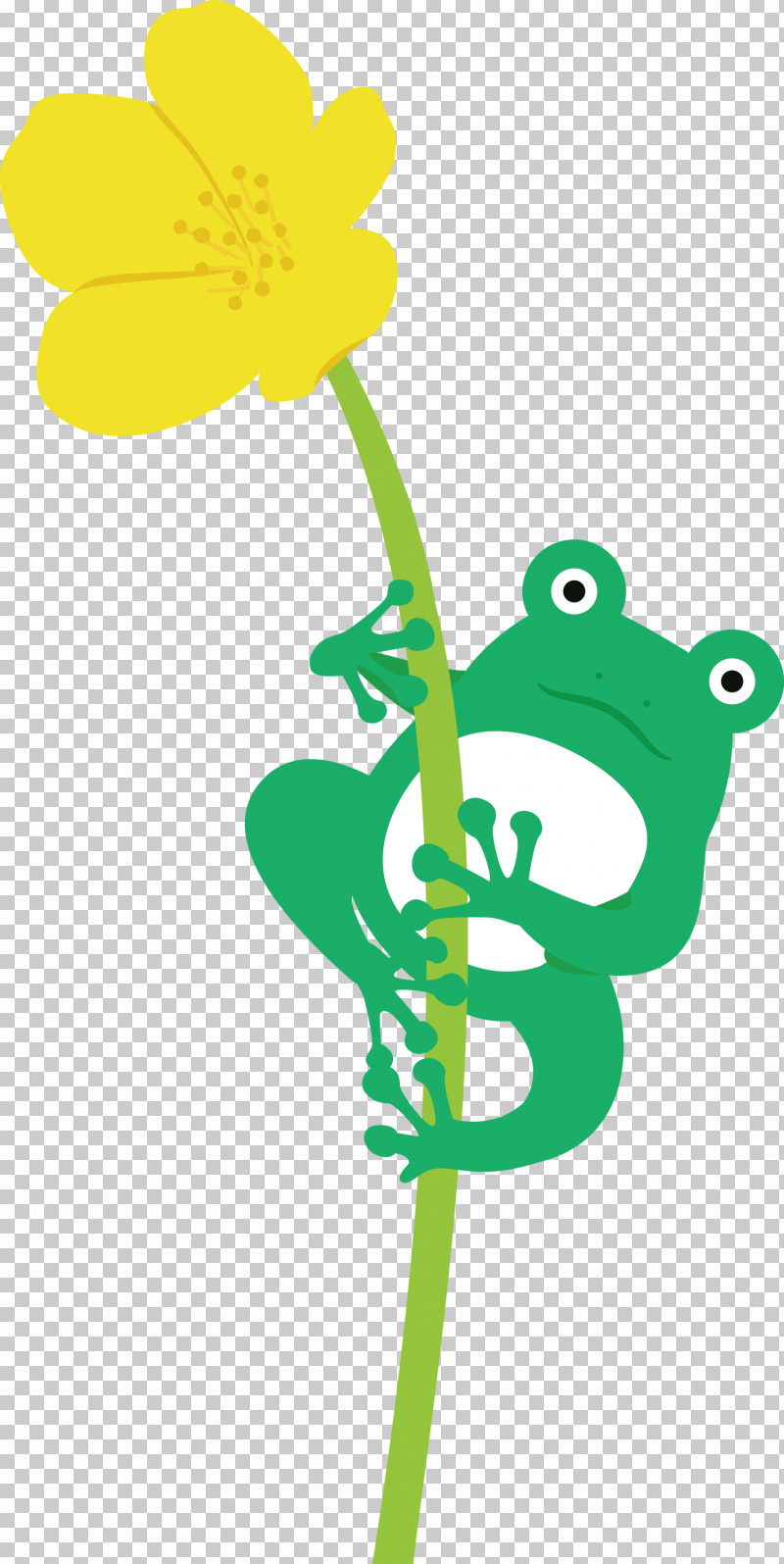 Flower Frogs Plant Stem Tree Frog Meter PNG, Clipart, Cartoon, Flower, Frog, Frogs, Leaf Free PNG Download