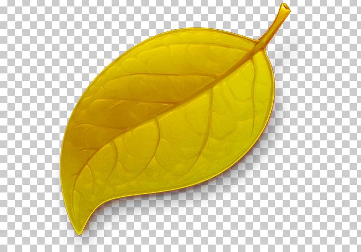 Coda MacOS Icon PNG, Clipart, Adobe Dreamweaver, Akiba, Application Software, Autumn, Autumn Leaves Free PNG Download