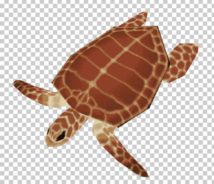 Loggerhead Sea Turtle Stuffed Animals & Cuddly Toys Terrestrial Animal PNG, Clipart, Animal, Animals, Fauna, La Quinta Inns Suites, Loggerhead Free PNG Download