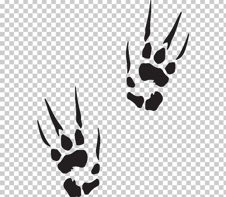 Paw Sticker Decal Printing PNG, Clipart, Adhesive, Autoadhesivo, Black, Black And White, Bumper Sticker Free PNG Download
