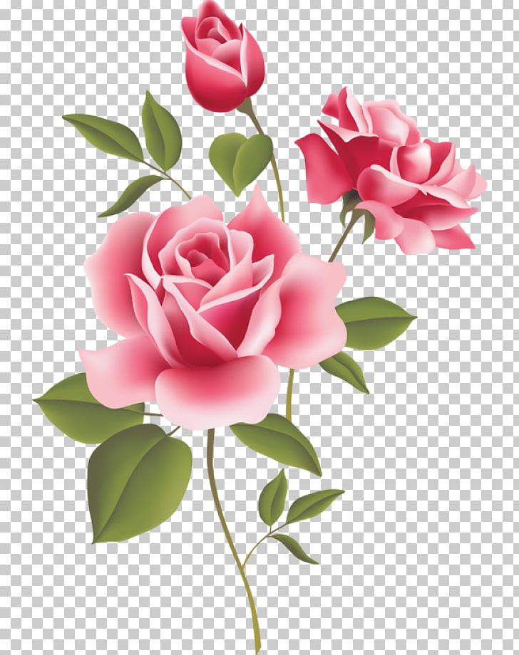 Rose Pink Free Content PNG, Clipart, Artificial Flower, Blog, Cut Flowers, Floral Design, Floribunda Free PNG Download