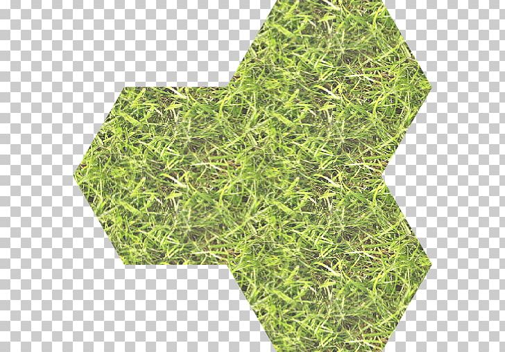 Tile Green Hexagon Rectangle PNG, Clipart, Grass, Green, Hexagon, Plant, Rectangle Free PNG Download