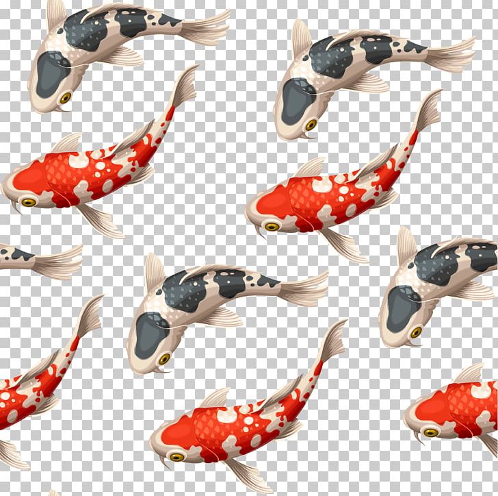 Koi Goldfish Carp Illustration PNG, Clipart, Carp, Carp Vector, Common Carp, Drawing, Fish Free PNG Download