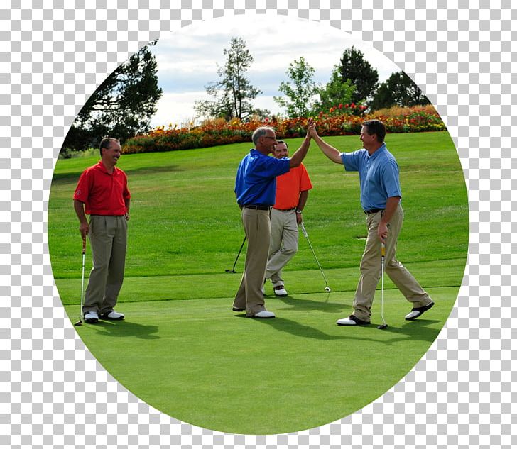 Pitch And Putt Golf Clubs Golf Course Professional Golfer PNG, Clipart, Competition, Course, Fairway, Games, Golf Free PNG Download