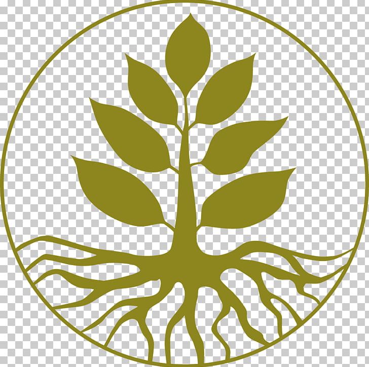 Tree Of Life Drawing PNG, Clipart, Area, Artwork, Black And White, Cedar, Circle Free PNG Download