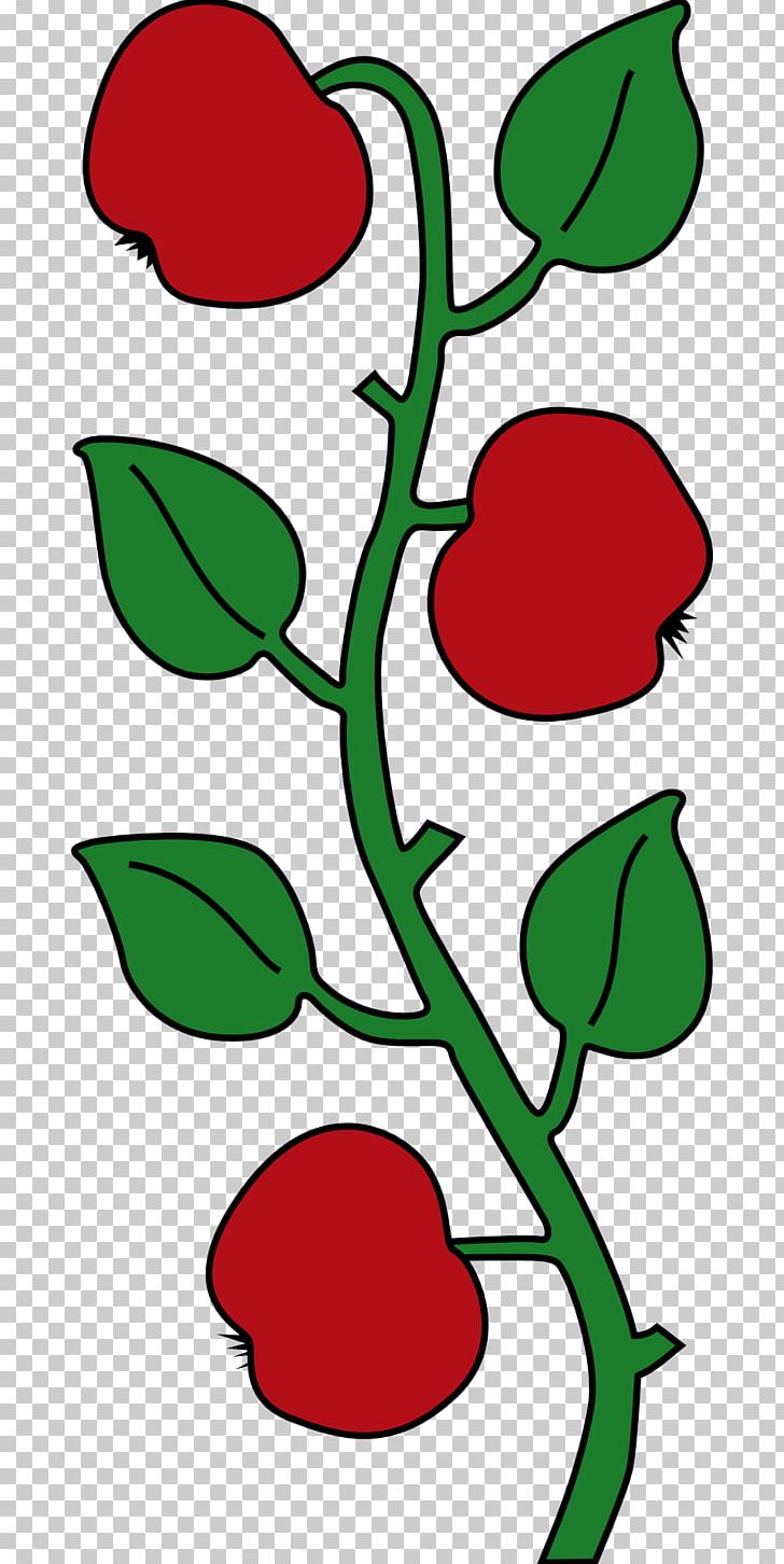 Branch PNG, Clipart, Apple, Area, Artwork, Branch, Download Free PNG Download