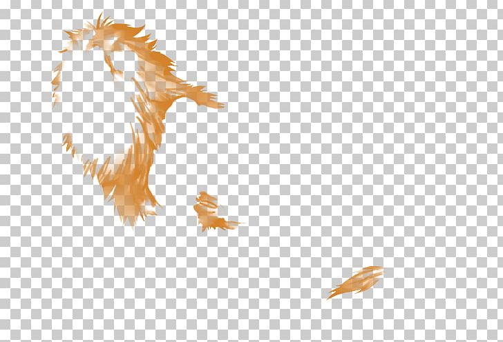 Desktop Feather Computer Beak Tail PNG, Clipart, Animals, Beak, Computer, Computer Wallpaper, Desktop Wallpaper Free PNG Download