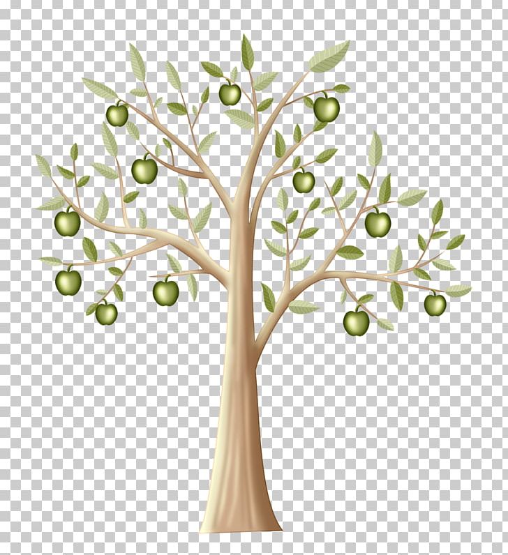 Manzana Verde Tree Apple Twig PNG, Clipart, Apple, Apple Fruit, Apple Logo, Background Green, Branch Free PNG Download