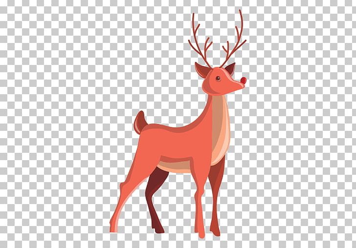 Reindeer PNG, Clipart, Animal, Animal Figure, Animation, Antler, Cartoon Free PNG Download