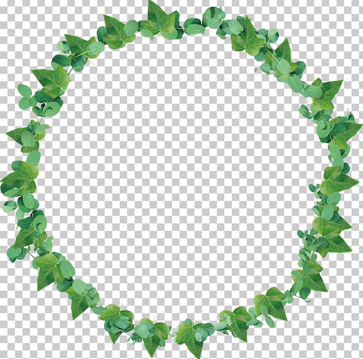 Stock Photography PNG, Clipart, Baquetas, Bay Laurel, Body Jewelry, Drawing, Emerald Free PNG Download