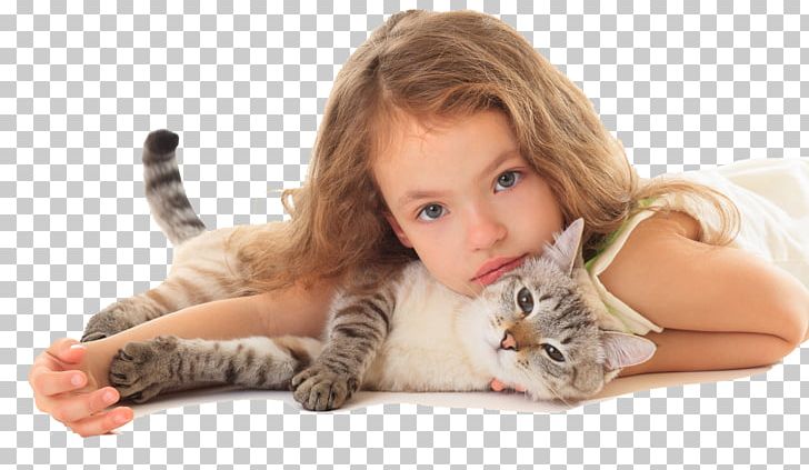 Thai Cat Stock Photography Kitten Child Veterinarian PNG, Clipart, Animals, Carnivoran, Cat, Cat Like Mammal, Child Free PNG Download