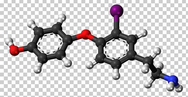 Tyrosine Ball-and-stick Model Amino Acid Chemistry Zwitterion PNG, Clipart, 5hydroxytryptophan, Acid, Amino Acid, Body Jewelry, Chemistry Free PNG Download