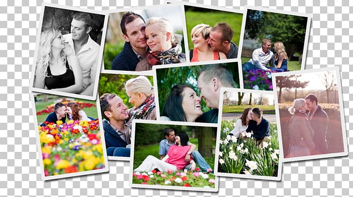 Collage Wedding Photography Photographer PNG, Clipart, Art, Collage, Desktop Wallpaper, Flower, Human Behavior Free PNG Download