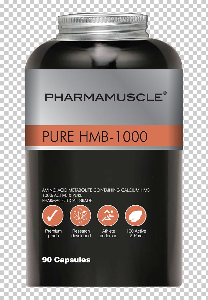 Dietary Supplement Mineral Branched-chain Amino Acid Arginine Glutamine PNG, Clipart, 2014 Mr Olympia, Amino Acid, Anabolism, Arginine, Branchedchain Amino Acid Free PNG Download