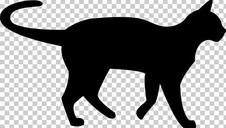 Havana Brown Kitten Black Cat PNG, Clipart, Animals, Black, Black And White, Black Cat, Black Panther Free PNG Download
