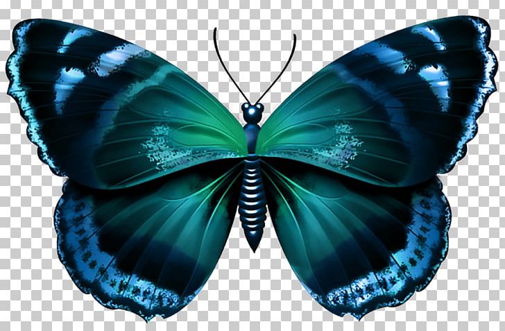 Butterfly Desktop Purple PNG, Clipart, Arthropod, Blue, Brush Footed Butterfly, Butterflies And Moths, Butterfly Free PNG Download