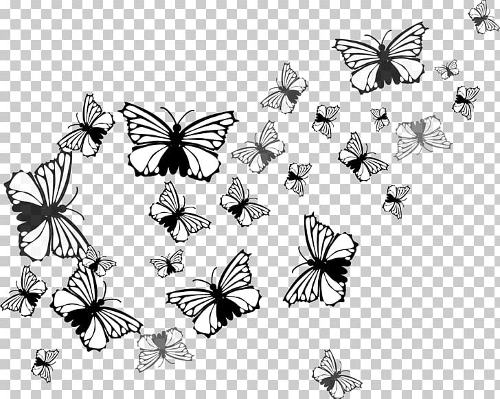 Butterfly Nymphalidae Insect Euclidean PNG, Clipart, Animal, Arthropod, Black And White, Brush Footed Butterfly, Butterflies Free PNG Download