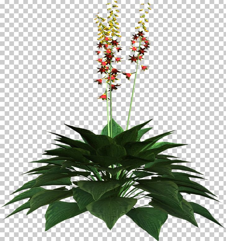 Floral Design Flower PNG, Clipart, Blog, Cicekler, Cut Flowers, Deco, Digital Scrapbooking Free PNG Download
