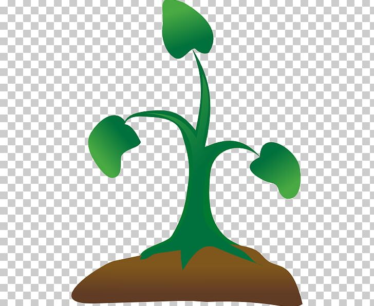 Seedling Sprouting Tree PNG, Clipart, Clip Art, Flora, Free Content, Grass, Green Free PNG Download