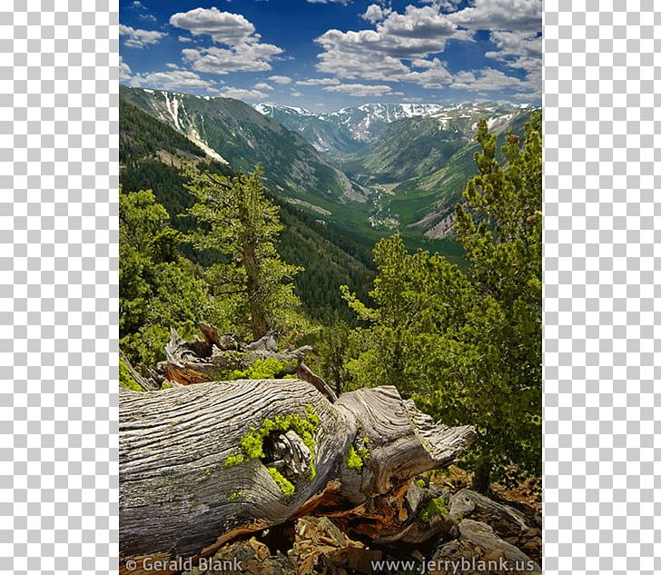 Beartooth Highway Rock Creek Vista Cooke City-Silver Gate Stillwater River U.S. Route 212 PNG, Clipart, Beartooth Highway, Biome, Elevation, Forest, Grass Free PNG Download