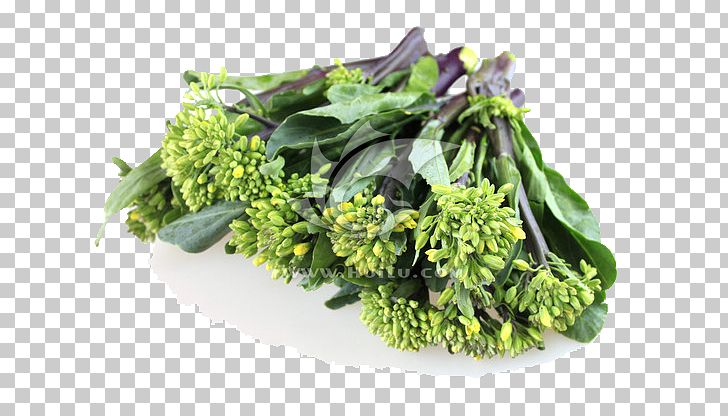Chinese Broccoli Kale Cauliflower Spring Greens Cabbage PNG, Clipart, Brassica Juncea, Brassica Oleracea, Cabbage Family, Cartoon Cauliflower, Collard Greens Free PNG Download