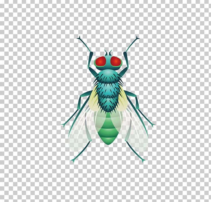 Fly Insect PNG, Clipart, Animal, Animals, Arthropod, Euclidean Vector, Five Vector Free PNG Download