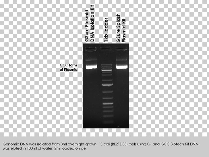 Plasmid Preparation DNA Extraction Restriction Digest PNG, Clipart, Brand, Consumption, Culture, Dna, Dna Extraction Free PNG Download