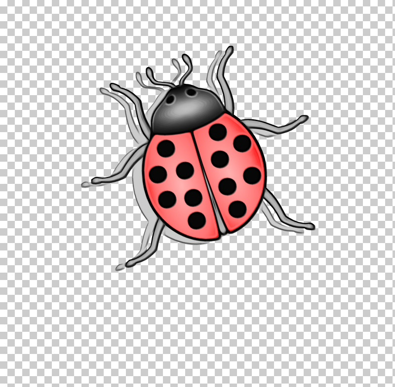 Insects Cartoon Ladybugs Pattern Membrane PNG, Clipart, Biology, Cartoon, Insects, Ladybugs, Membrane Free PNG Download