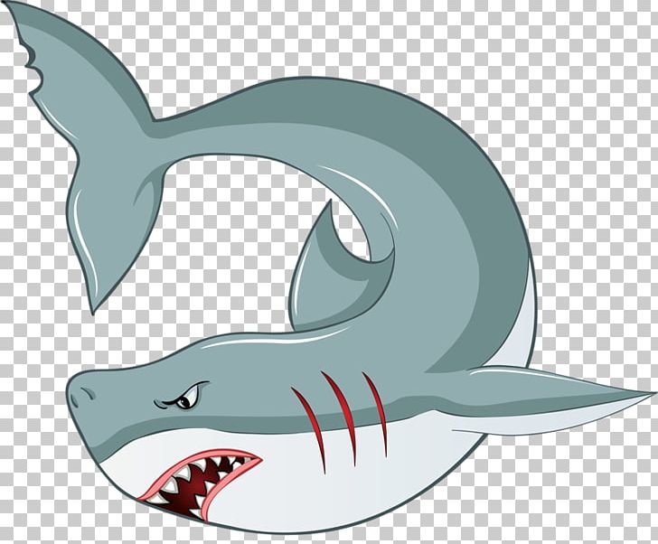 Great White Shark Fish PNG, Clipart, Animals, Batoidea, Carcharhiniformes, Cartilaginous Fish, Cartoon Free PNG Download