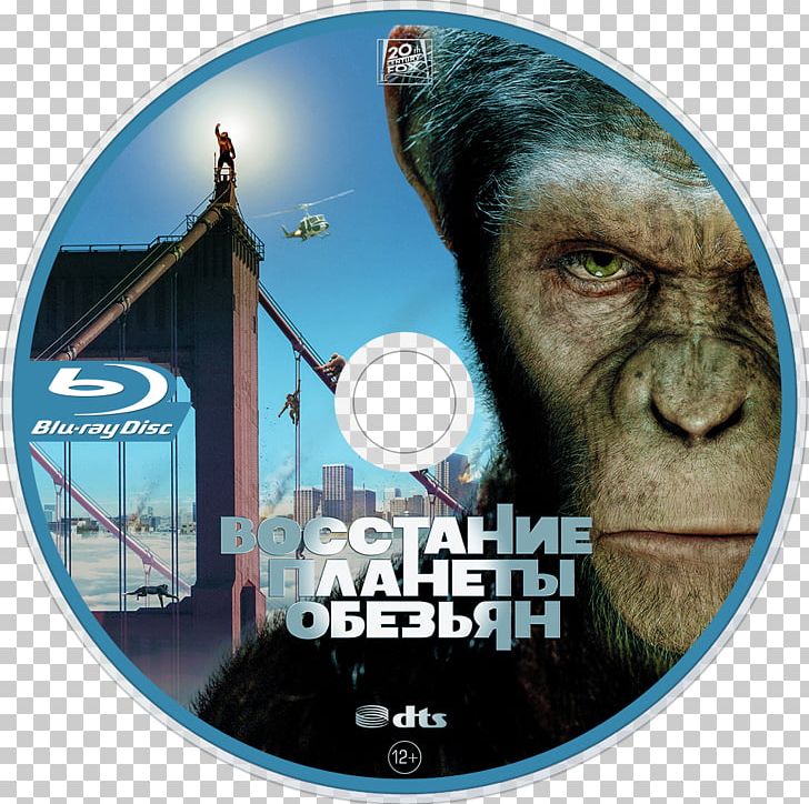 Caesar Planet Of The Apes Film Hollywood PNG, Clipart, Ape, Brad Bird, Caesar, Compact Disc, Dawn Of The Planet Of The Apes Free PNG Download
