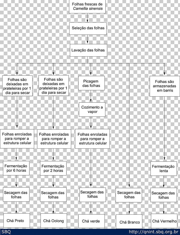 Document Line Angle PNG, Clipart, Angle, Area, Brand, Camellia Sinensis, Diagram Free PNG Download