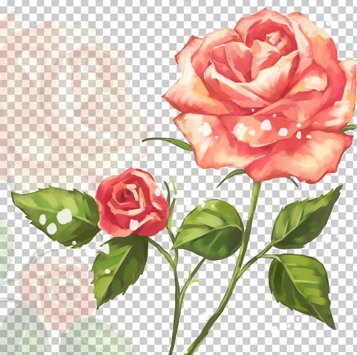 Garden Roses Flower PNG, Clipart, Beach Rose, Cut Flowers, Floral Design, Floribunda, Flower Free PNG Download
