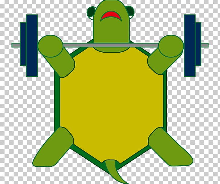 Turtle Animal PNG, Clipart, Amphibian, Animal, Animals, Area, Artwork Free PNG Download