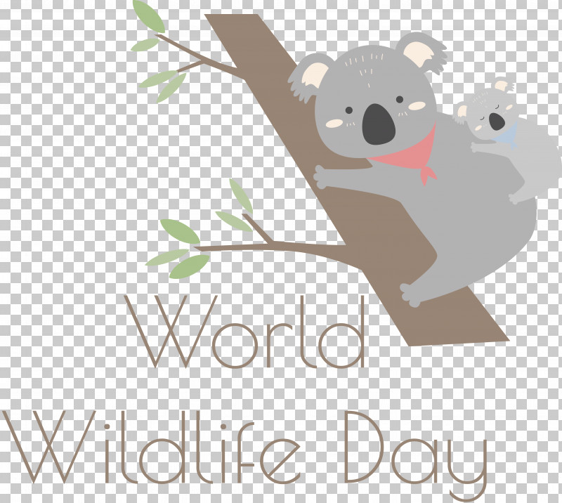 Zoo Safári Koala Bears Rodents Lefier PNG, Clipart, Bears, Groningen, Infant, Jungle, Koala Free PNG Download