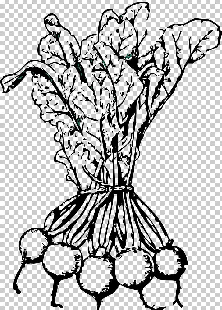 Beetroot Sugar Beet Vegetable PNG, Clipart, Artwork, Beetroot, Black, Black And White, Coloring Book Free PNG Download