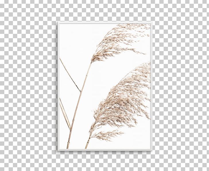 Fine-art Photography Poster Printing PNG, Clipart, Art, Beach, Coast, Commodity, Emmer Free PNG Download