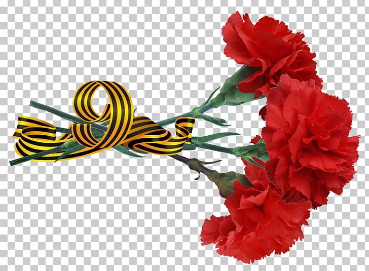 Victory Day Photography International Dance Day PNG, Clipart, Carnation, Cut Flowers, Floral Design, Flower, Flower Bouquet Free PNG Download