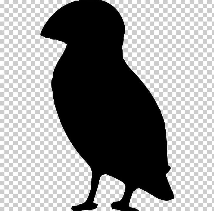 Bird Silhouette Beak Atlantic Puffin PNG, Clipart, Animals, Atlantic Puffin, Beak, Bird, Black Free PNG Download