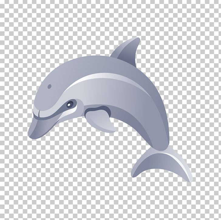 Marine Mammal Mammal Animals PNG, Clipart, Albom, Animals, Black And White, Bye, Creatures Free PNG Download