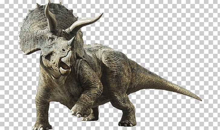 Triceratops Brachiosaurus Gallimimus Jurassic World Evolution Stegosaurus PNG, Clipart, Brachiosaurus, Dinosaur, Evolution, Extinction, Gallimimus Free PNG Download