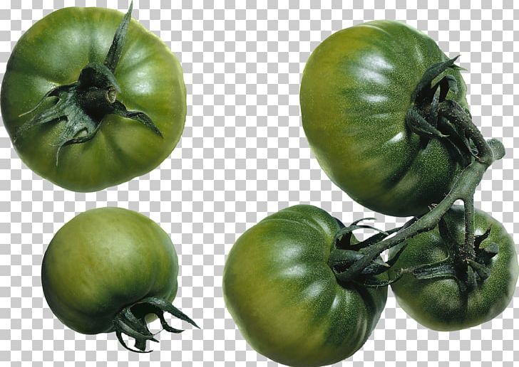 Green Zebra Salsa Cherry Tomato Tomatillo PNG, Clipart, Bush Tomato, Cherry Tomato, Food, Fried Green Tomatoes, Fruit Free PNG Download