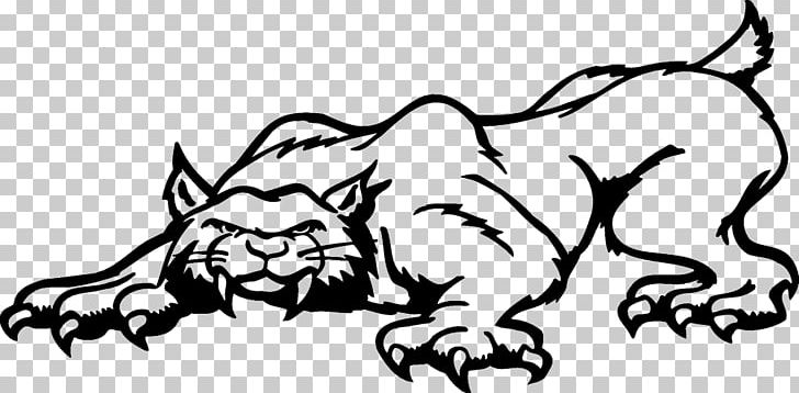 Lion Bobcat Felidae Cartoon PNG, Clipart, Animals, Animation, Art, Big Cats, Black Free PNG Download