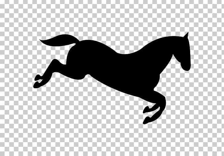 Pony Mane English Riding Rein Stallion PNG, Clipart, Black, Black And White, Bridle, Carnivoran, Dog Like Mammal Free PNG Download