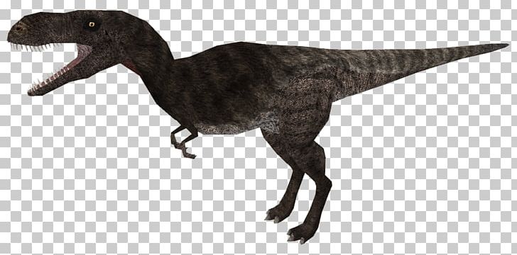 Velociraptor Tyrannosaurus Extinction Animal PNG, Clipart, Animal, Animal Figure, Beak, Dinosaur, Extinction Free PNG Download
