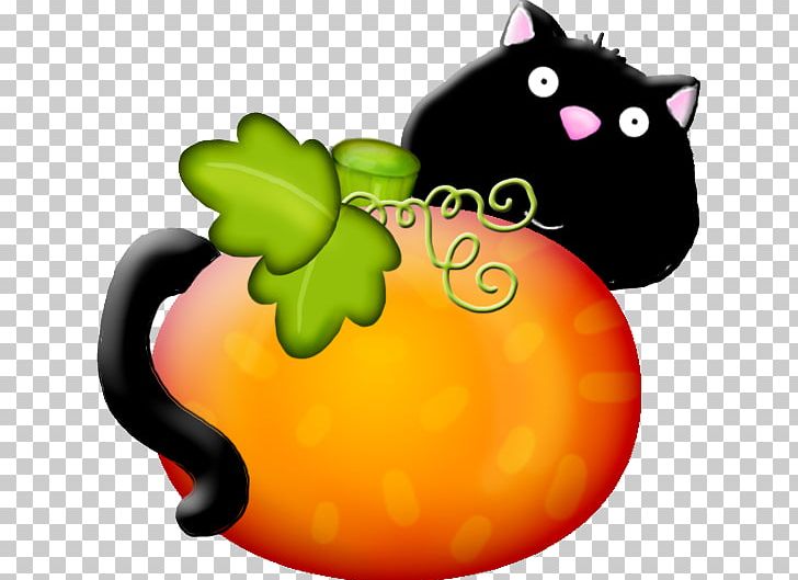 Whiskers Pumpkin Calabaza Cat Snout PNG, Clipart, Calabaza, Carnivoran, Cat, Cat Like Mammal, Cucurbita Free PNG Download