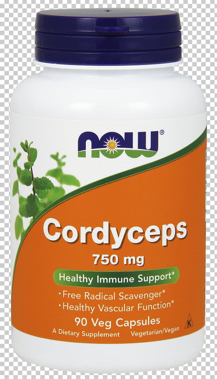 Dietary Supplement Cordyceps Food Capsule Herb PNG, Clipart, Capsule, Caterpillar Fungus, Cordyceps, Dietary Supplement, Flavor Free PNG Download