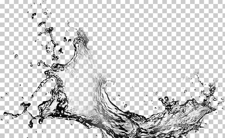 Energy Drink Water Business Opportunity Liquid PNG, Clipart, Artwork, Black And White, Bottle, Branch, Business Free PNG Download