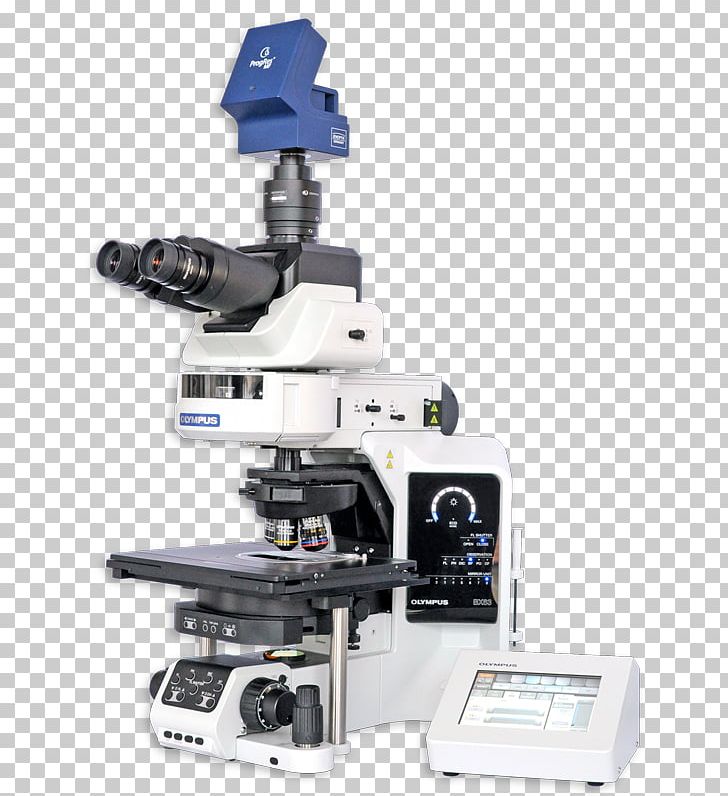 Microscope Fluorescence In Situ Hybridization Comparative Genomic Hybridization Cytogenetics Metaphase PNG, Clipart, Cytogenetics, Deletion, Fluorescence In Situ Hybridization, Genome, Information System Free PNG Download