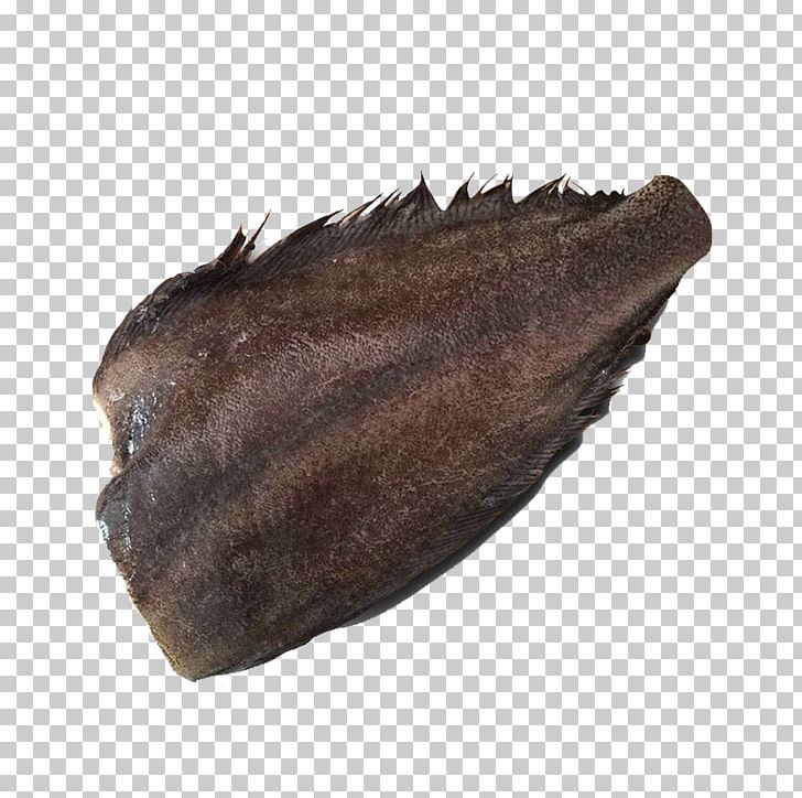 Russia Seafood Sole Import JD.com PNG, Clipart, Aquaculture Seafood, Aquarium Fish, European Plaice, Fish, Fish Aquarium Free PNG Download