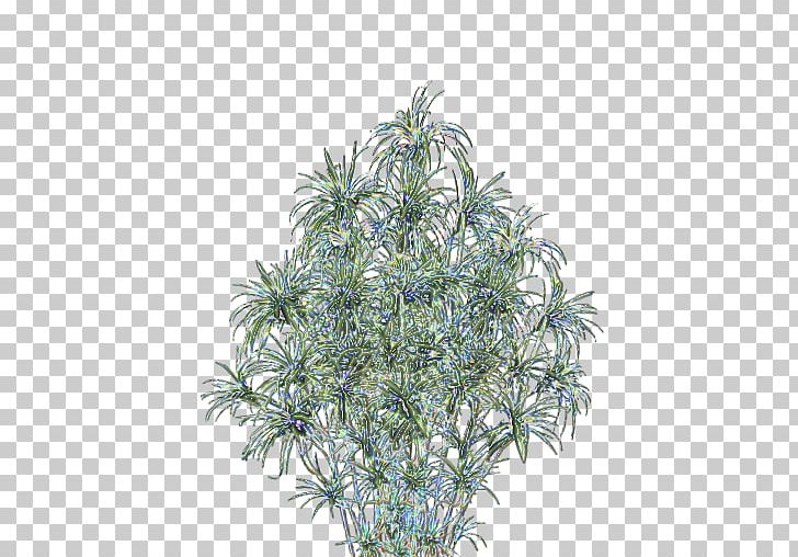 Shrub PNG, Clipart, Branch, Grass, Others, Plant, Shrub Free PNG Download